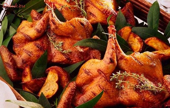 птица, духовке птица, духовке