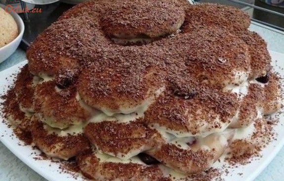 домашний, торт, черепаха, жир домашний, торт, черепаха, жир