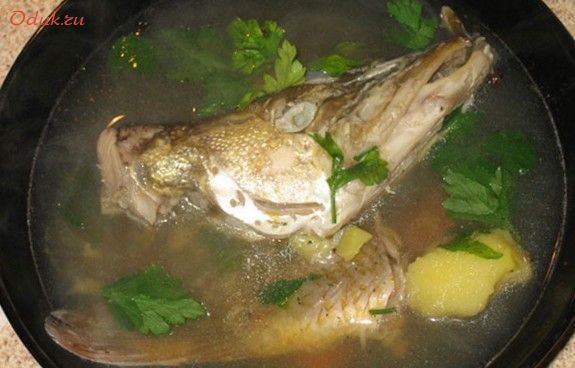 щуки, филе, сома щуки, филе, сома