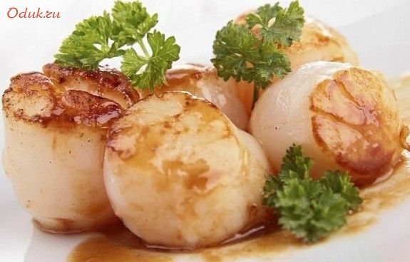 морские, гребешки