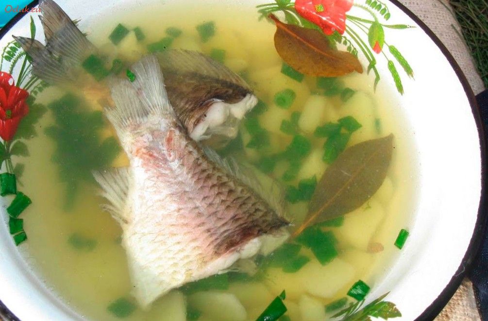 классическая, карася