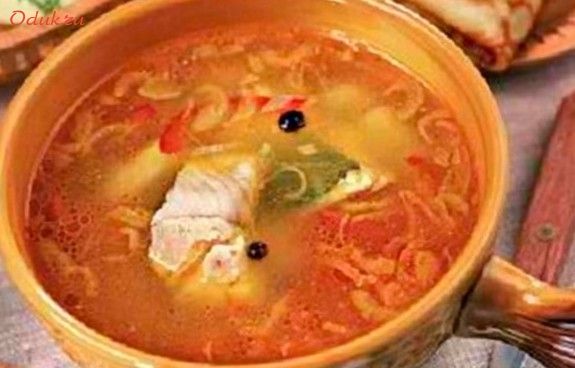 ростовская, судака, рыбной