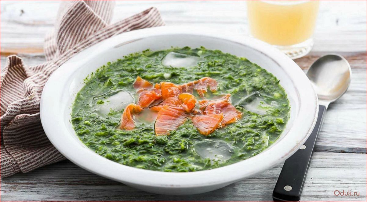 Ботвинник суп: рецепт приготовления и полезные свойства