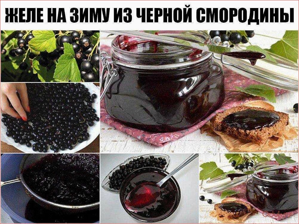 Как приготовить вкуснейшее желе из черной смородины — лучший рецепт и секреты приготовления