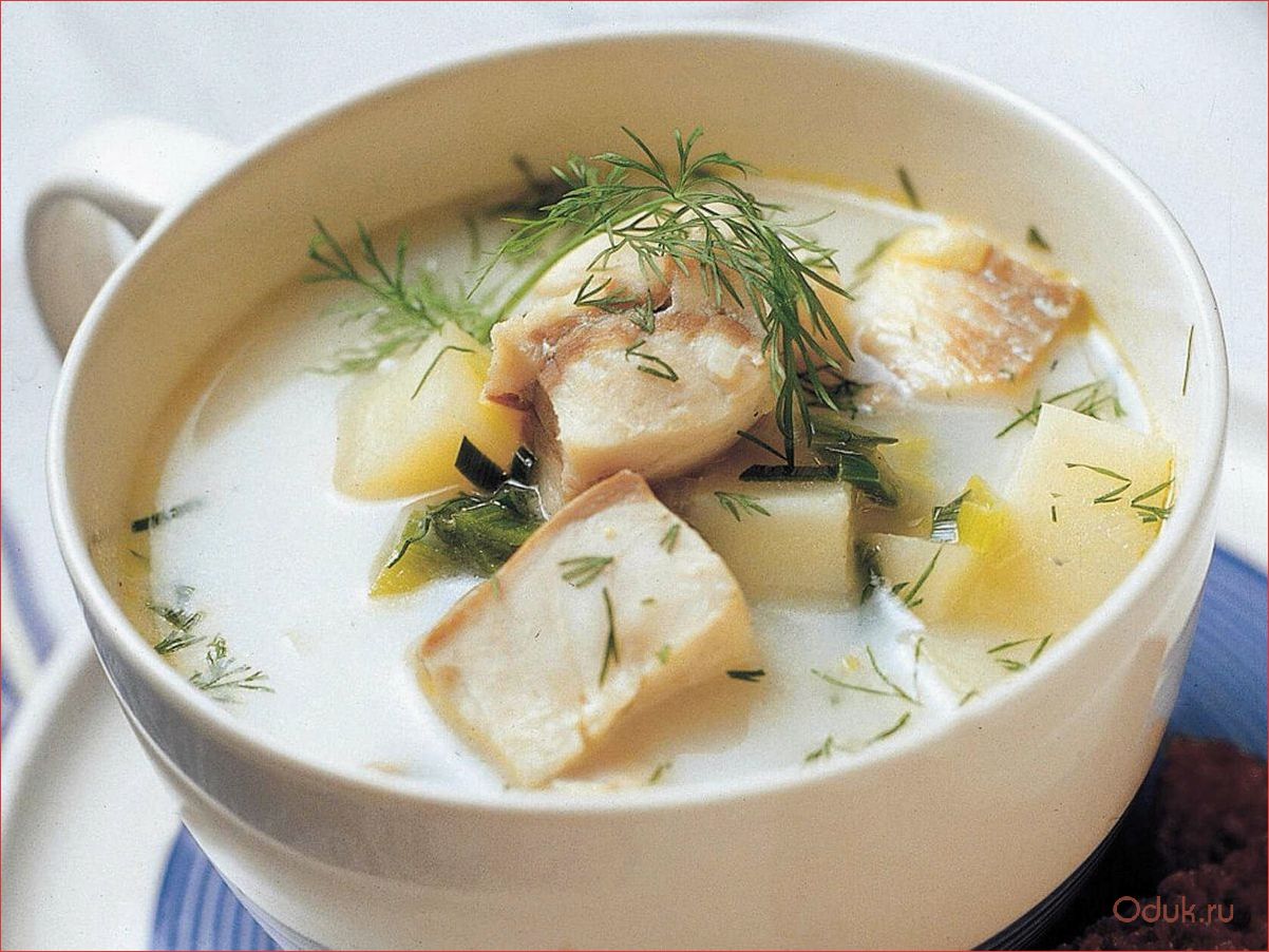Уха суп: рецепты и секреты приготовления