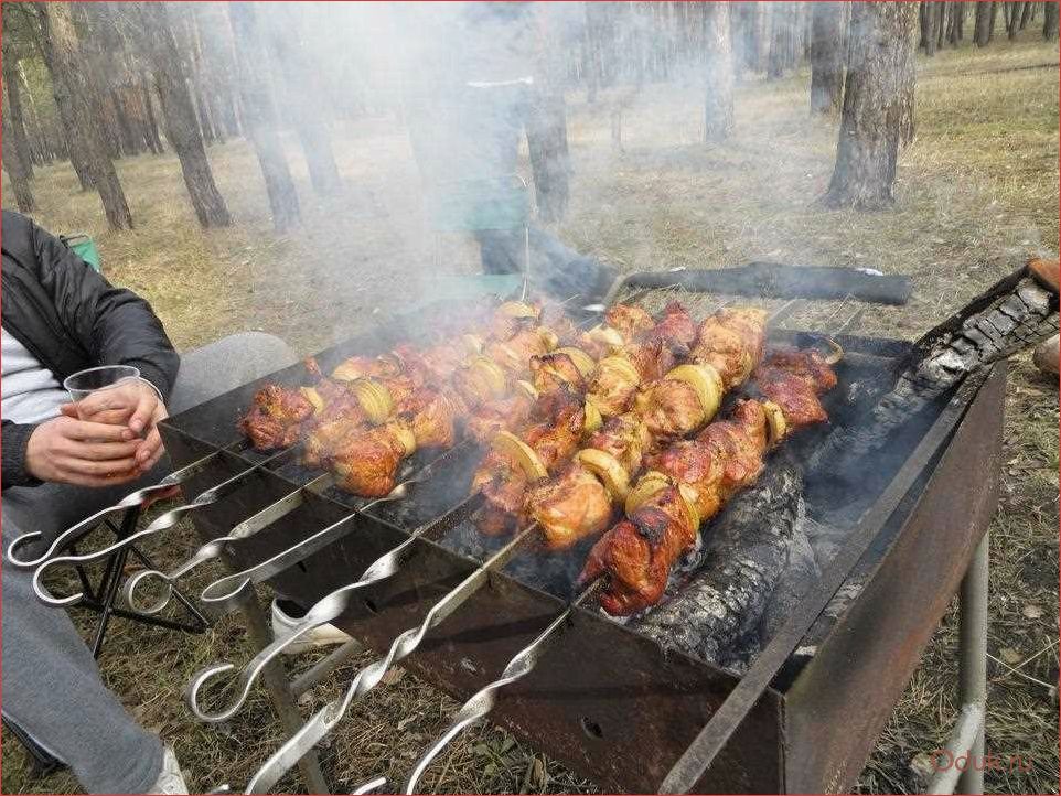 Шашлыки на природе: лучшие рецепты и секреты приготовления